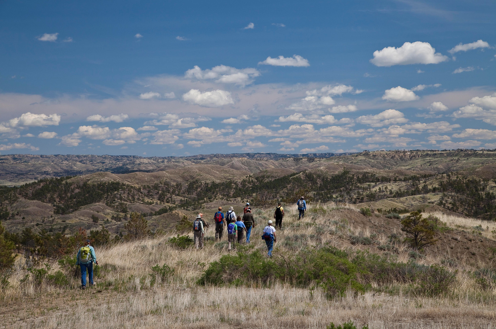 American Prairie Reserve: Stitching The Great Plains Back Together Again