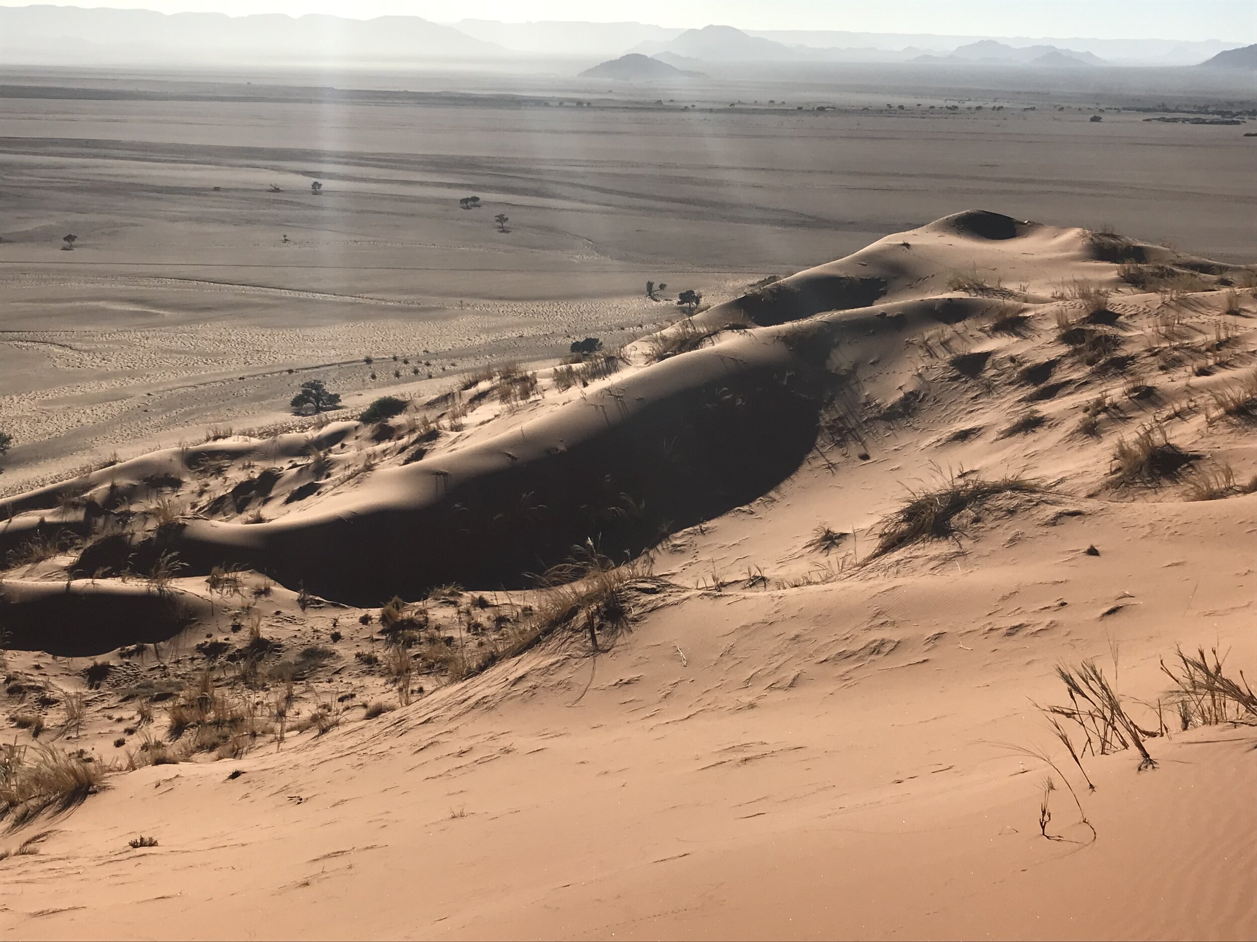 Macro and Micro – the Special Beauty of the Namib Desert