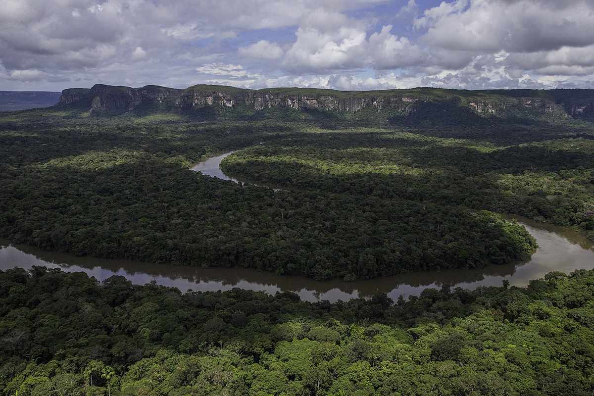 Colombian Ex-Guerrillas Turn into Citizen Scientists Using Their Knowledge of the Jungle to Protect Biodiversity