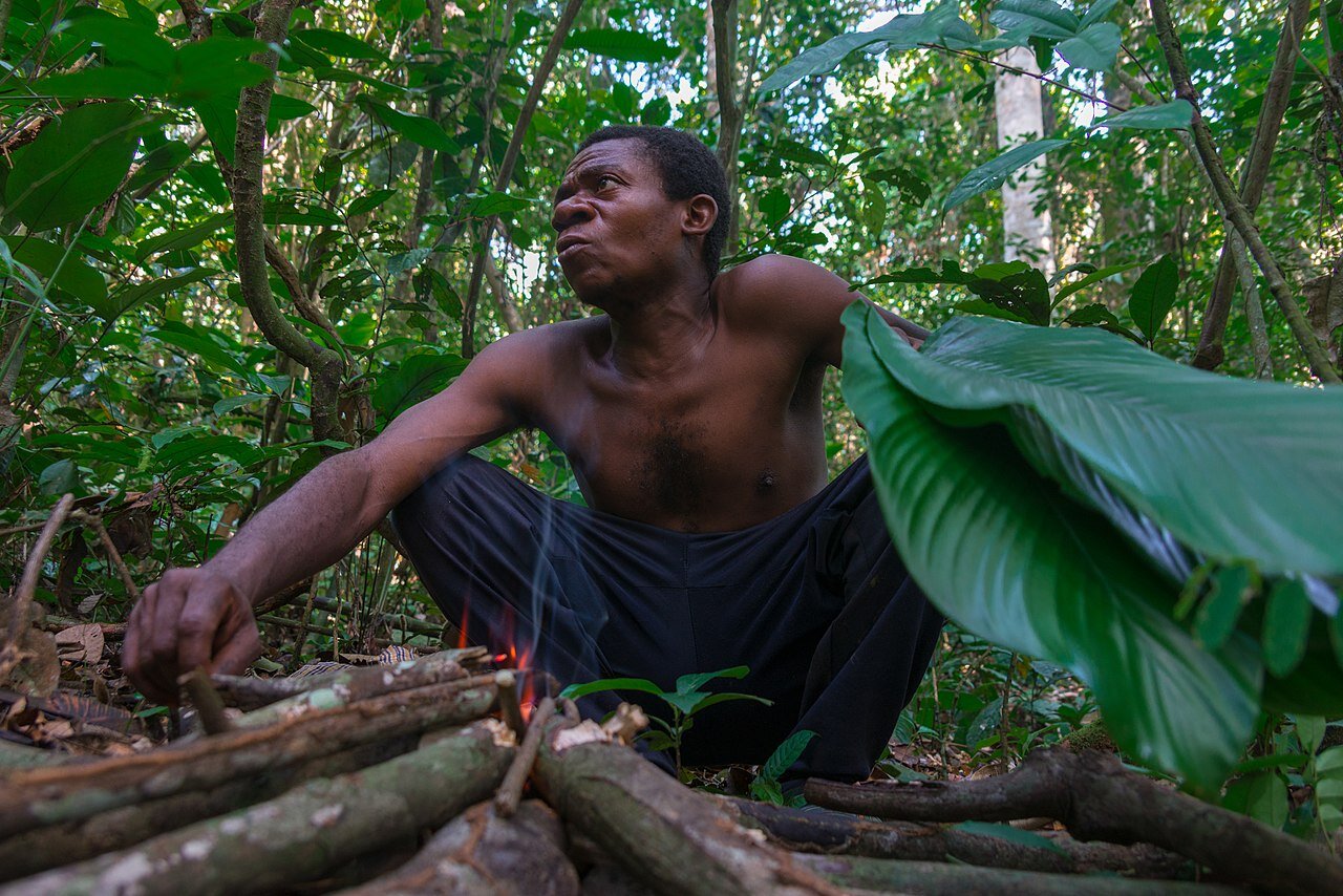 Like Jefferson, Scientists Help Demonstrate Pygmies’ Natural Rights to Ancestral Lands Given Over to Logging