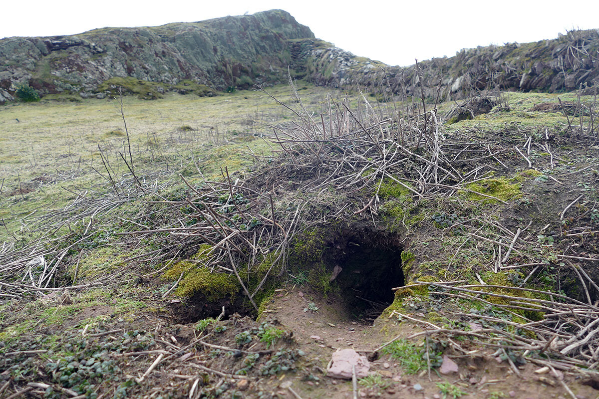 How Far Down the Rabbit Hole Must One Go to find Prehistoric Artifacts? Not Far Say Wales Archaeologists