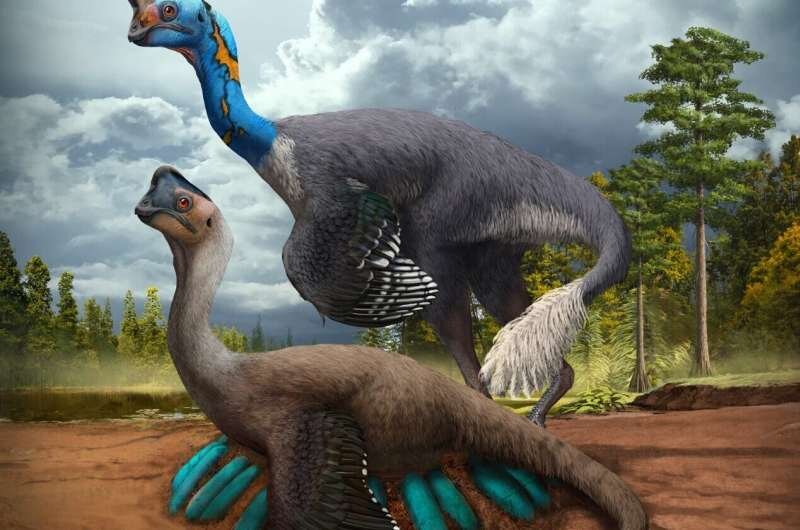 Rarest-of-the-Rarest Dinosaur Fossil is a Cretaceous Era Still Life of Oviraptor and 24 Eggs