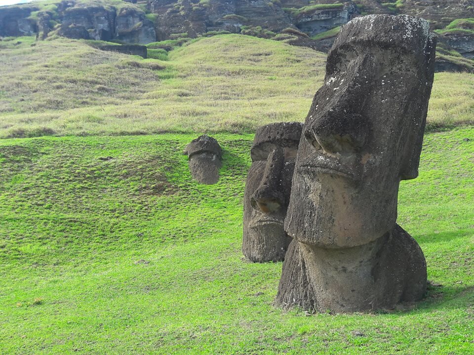 A Genetic Mapping of Polynesia Tracks the Settlement of Oceania in Exquisite Detail