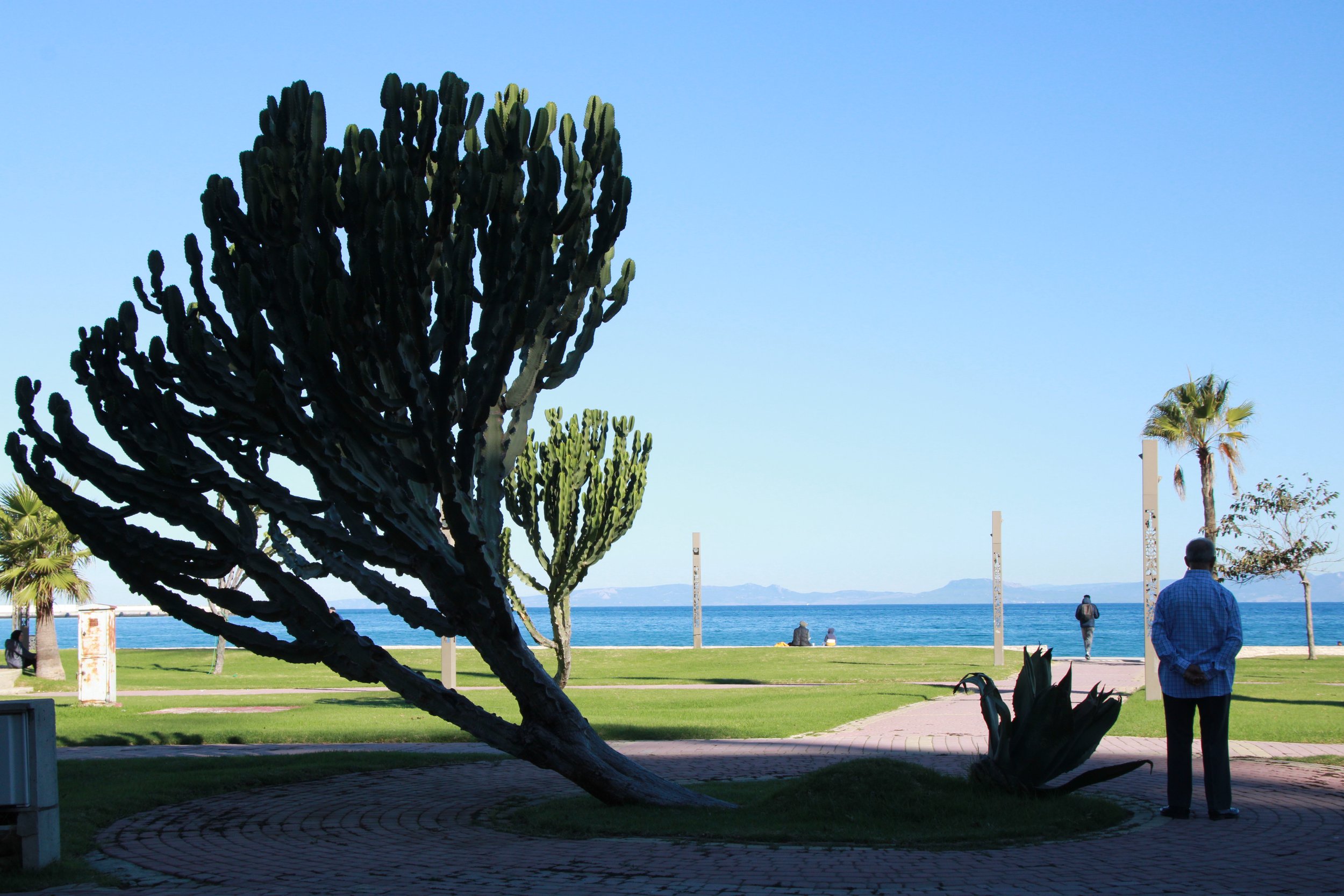 Literature and Character Pulls Africa and Europe Together in Tangier