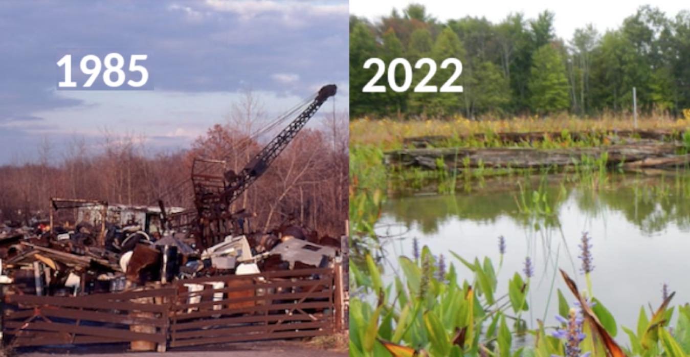 Acres of Toxic Chemicals and Rusting Cars Becomes National Park After Amazing Transformation