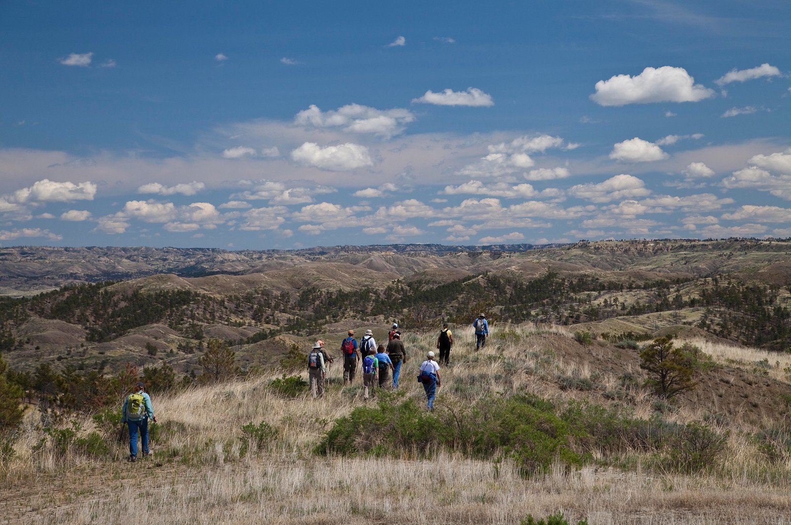 Oregon Senator Introduces American Grasslands Conservation Act to Protect Imperiled Prairie