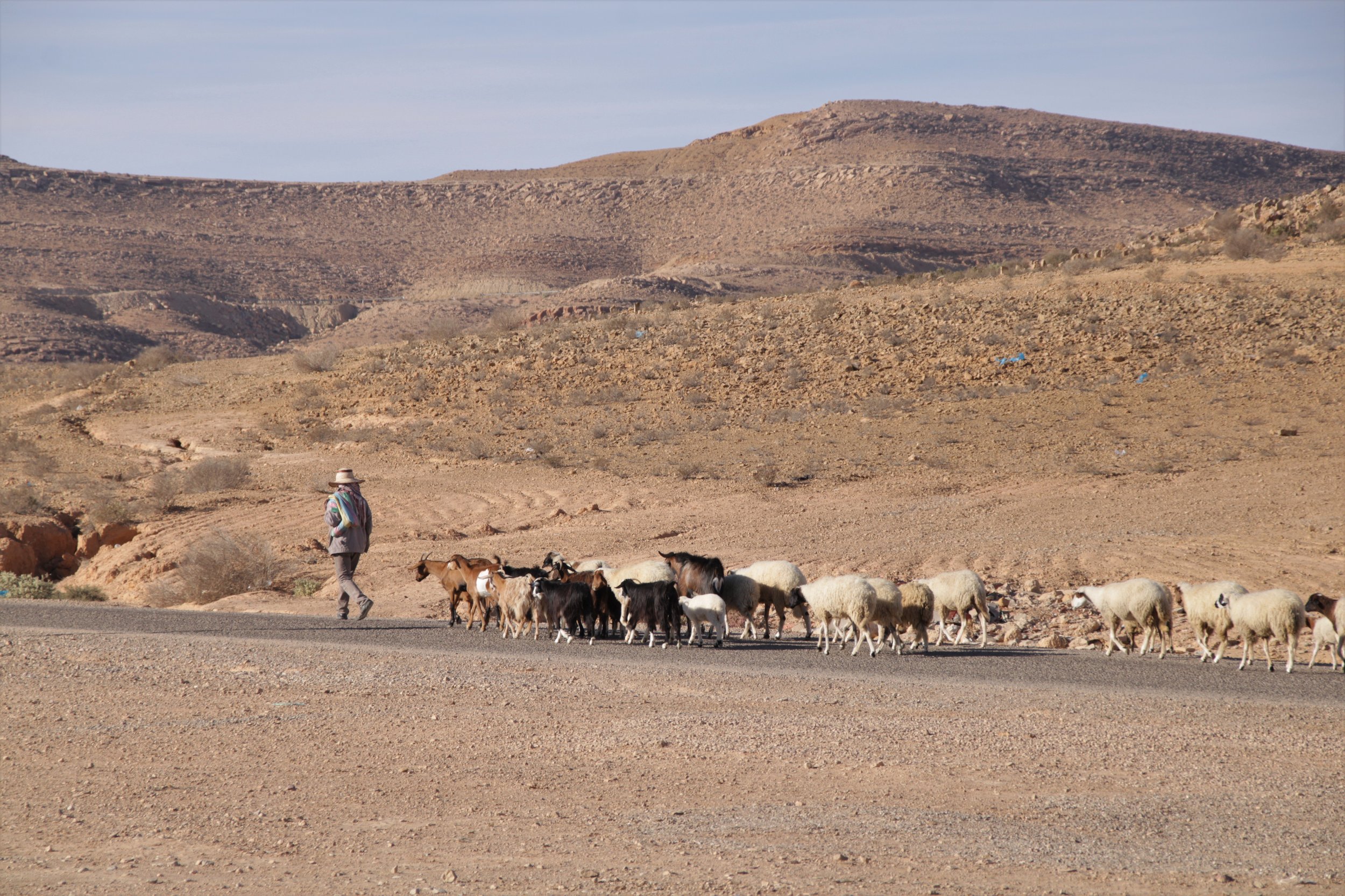 Dahar: One of the Best Regions in North Africa