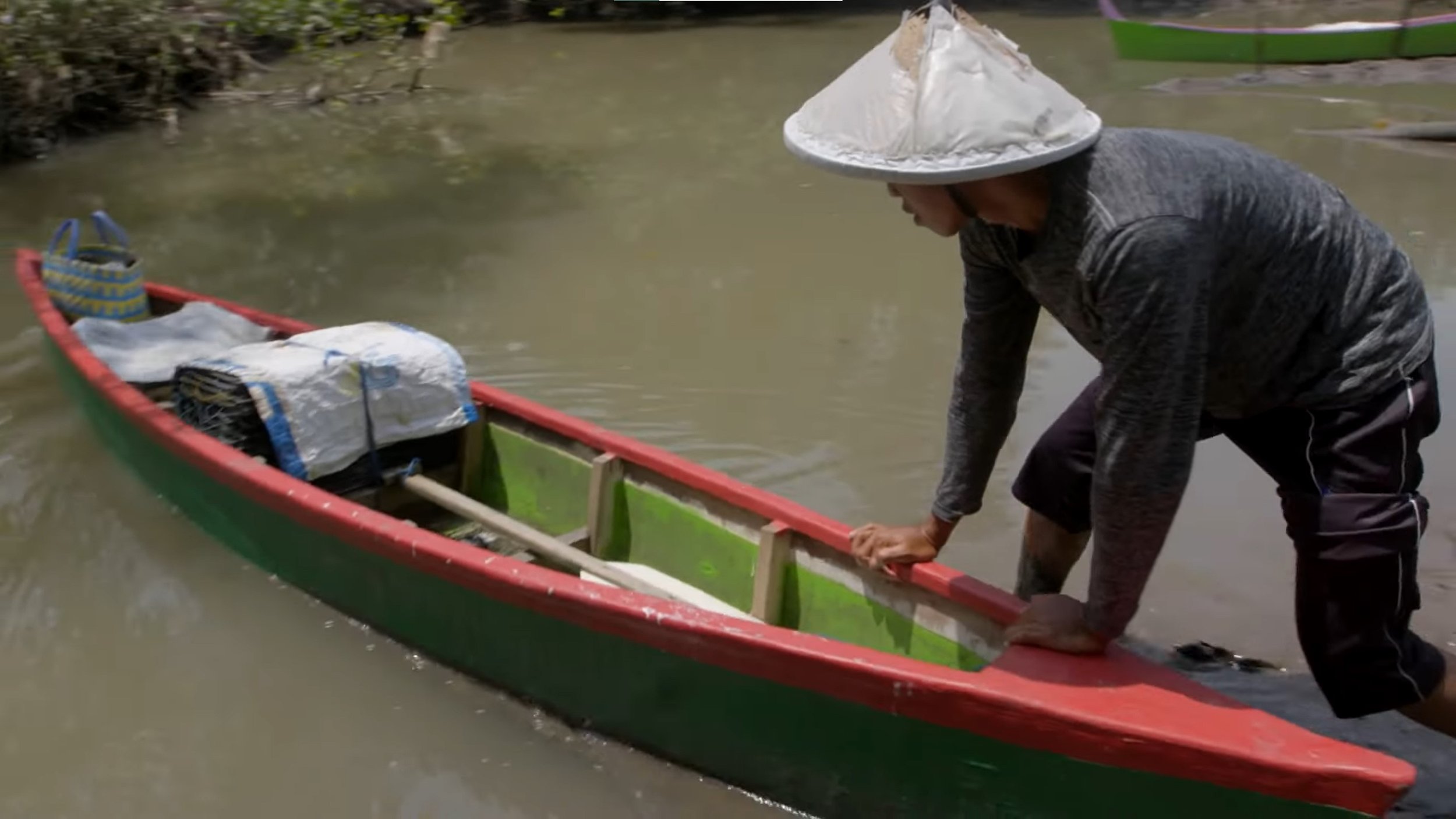 Fishing Communities Finding Better Catch with Mangroves than with Artificial Aquaculture