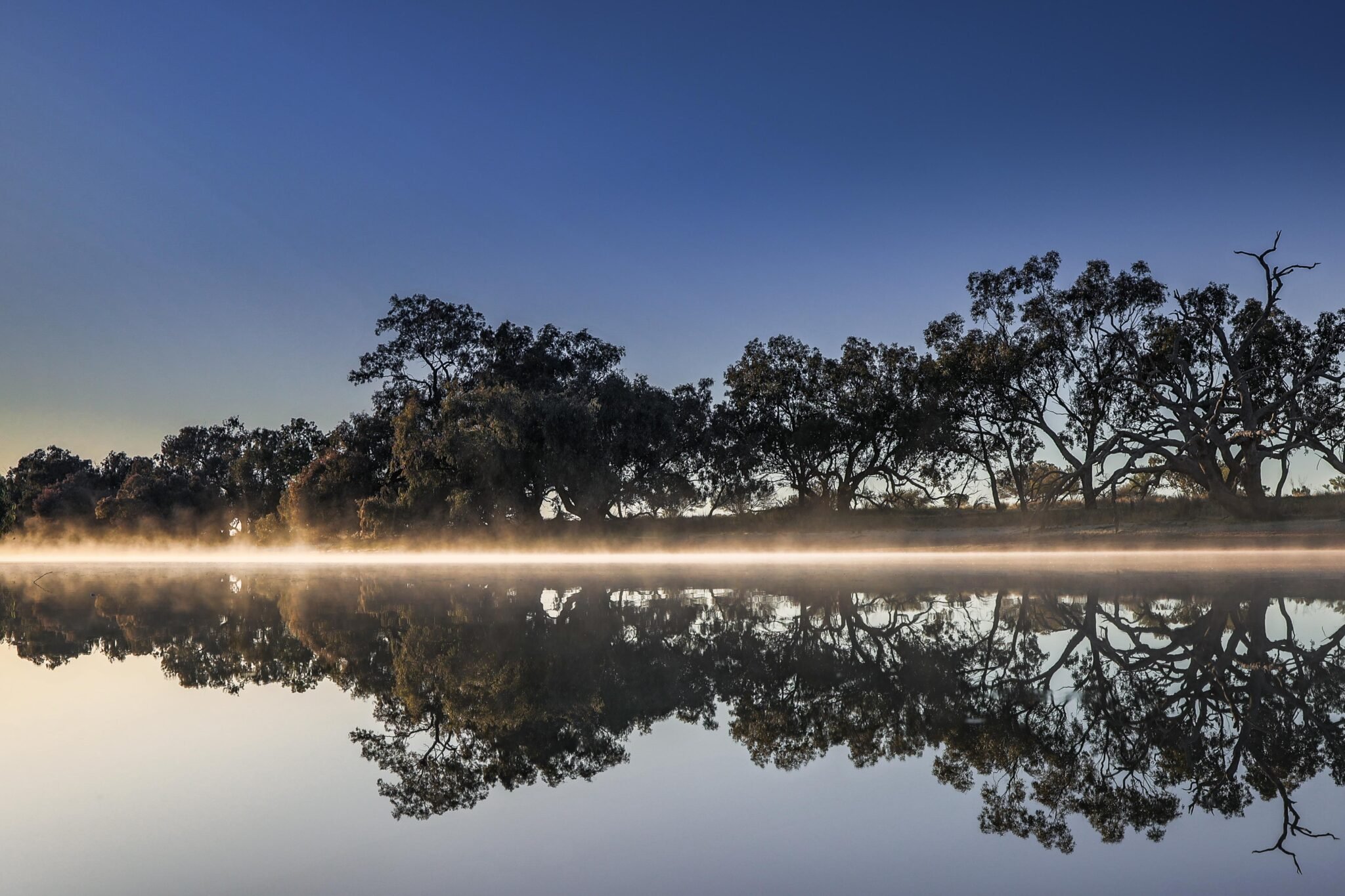 10,000 Sq. Kilometer Park to be Protected Forever After Largest Land Purchase In New South Wales History