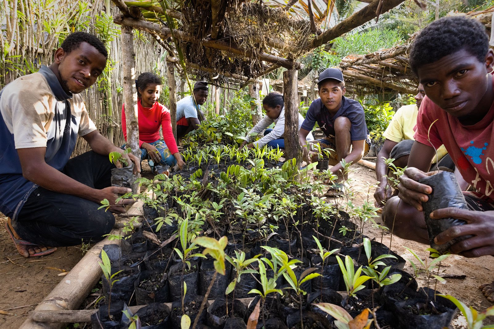 Tree Growing Nonprofit in Madagascar is Sprouting Entrepreneurs With Unique Training and Funding