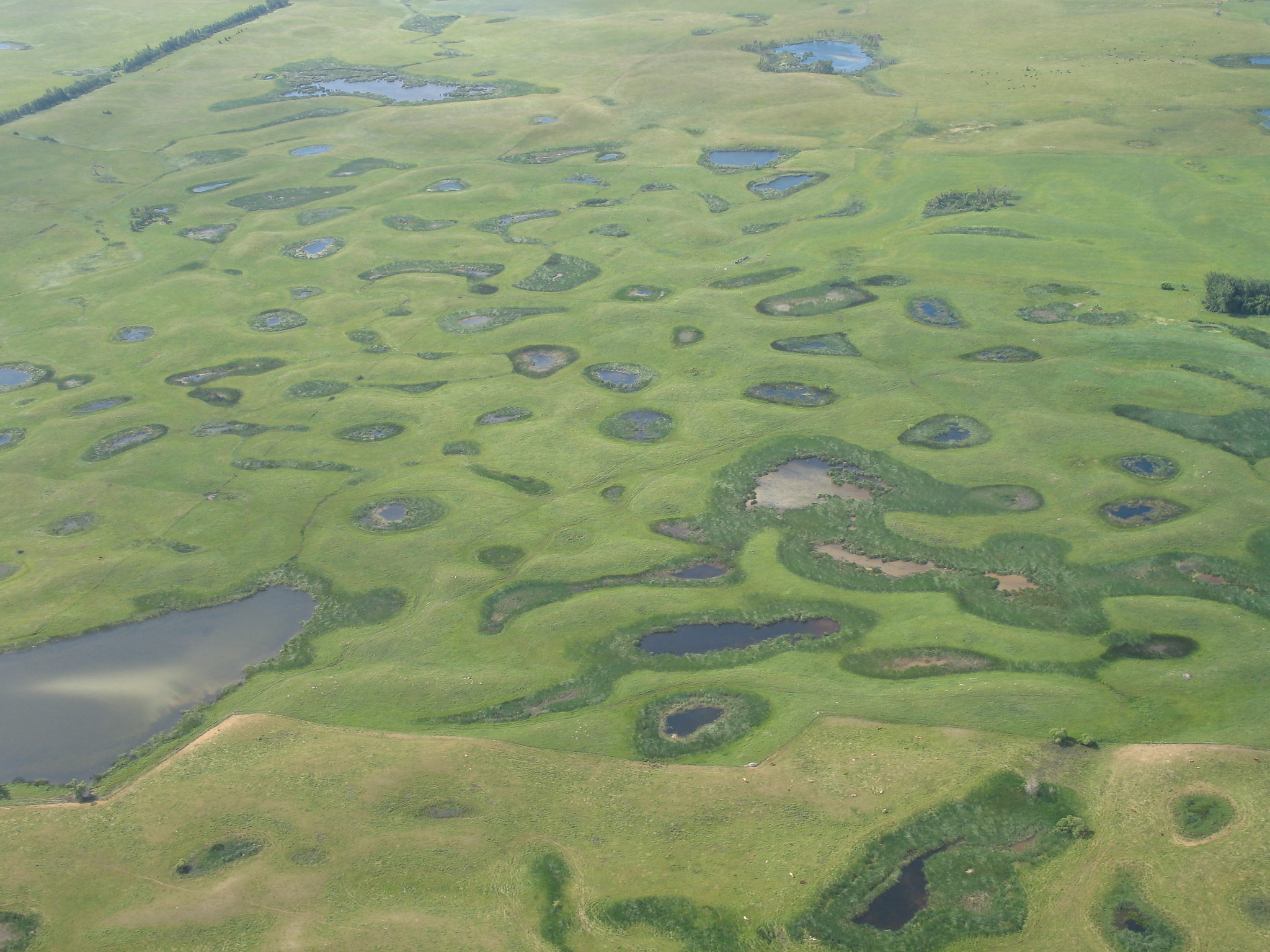 American Prairie Reserve Grows by 2,000 Key Wetland Acres