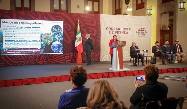 Mexico Government Announces 20 New Protected Areas Totaling 2.3 Million Hectares