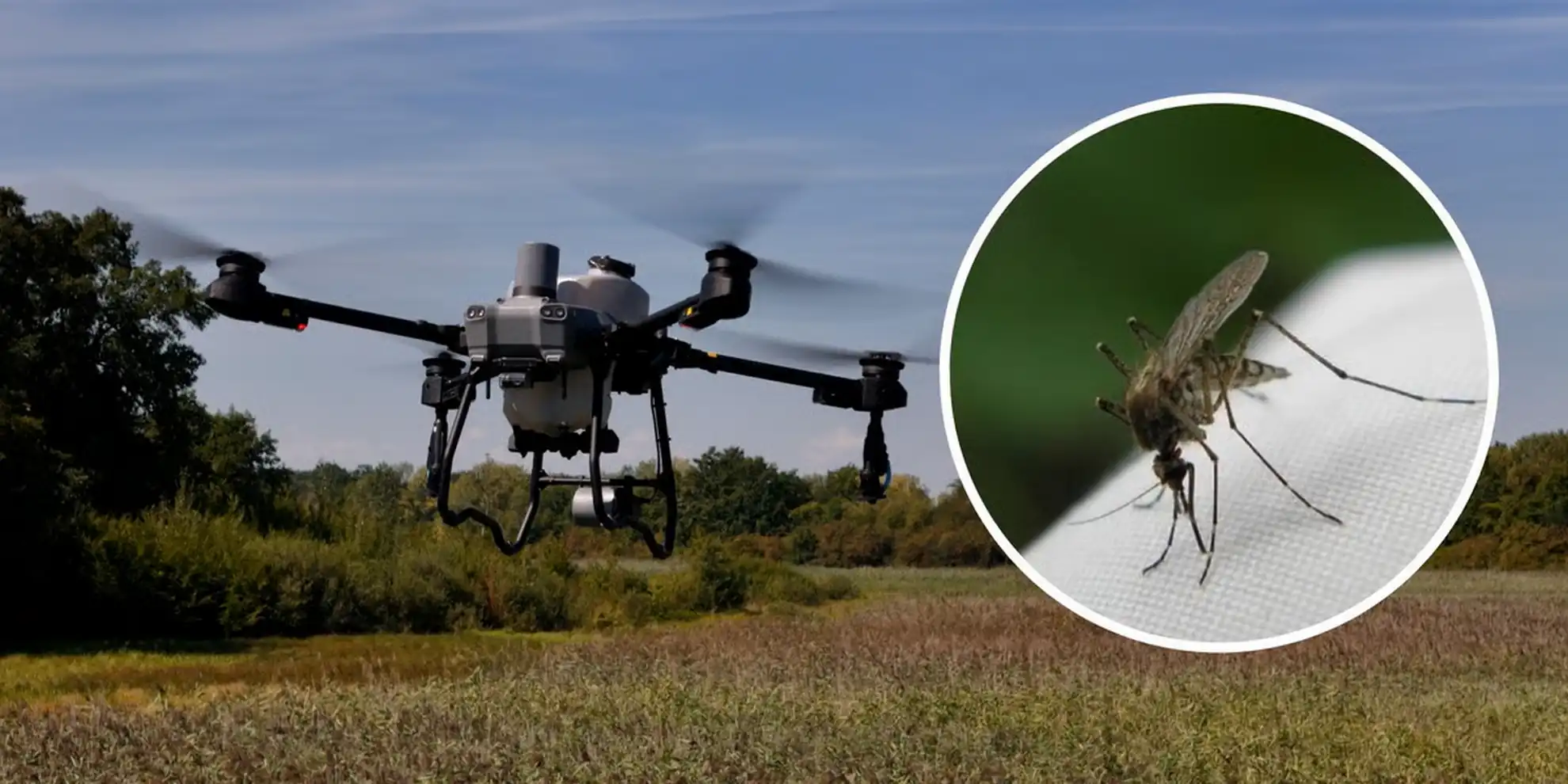 ‘Cheaper, More Humane’ Drones Emerge as Key Weapon in Mosquito Control from Poland to Africa